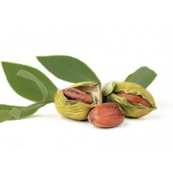 ACEITE PURO JOJOBA NATURAL