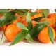 Oli essencial Mandarina